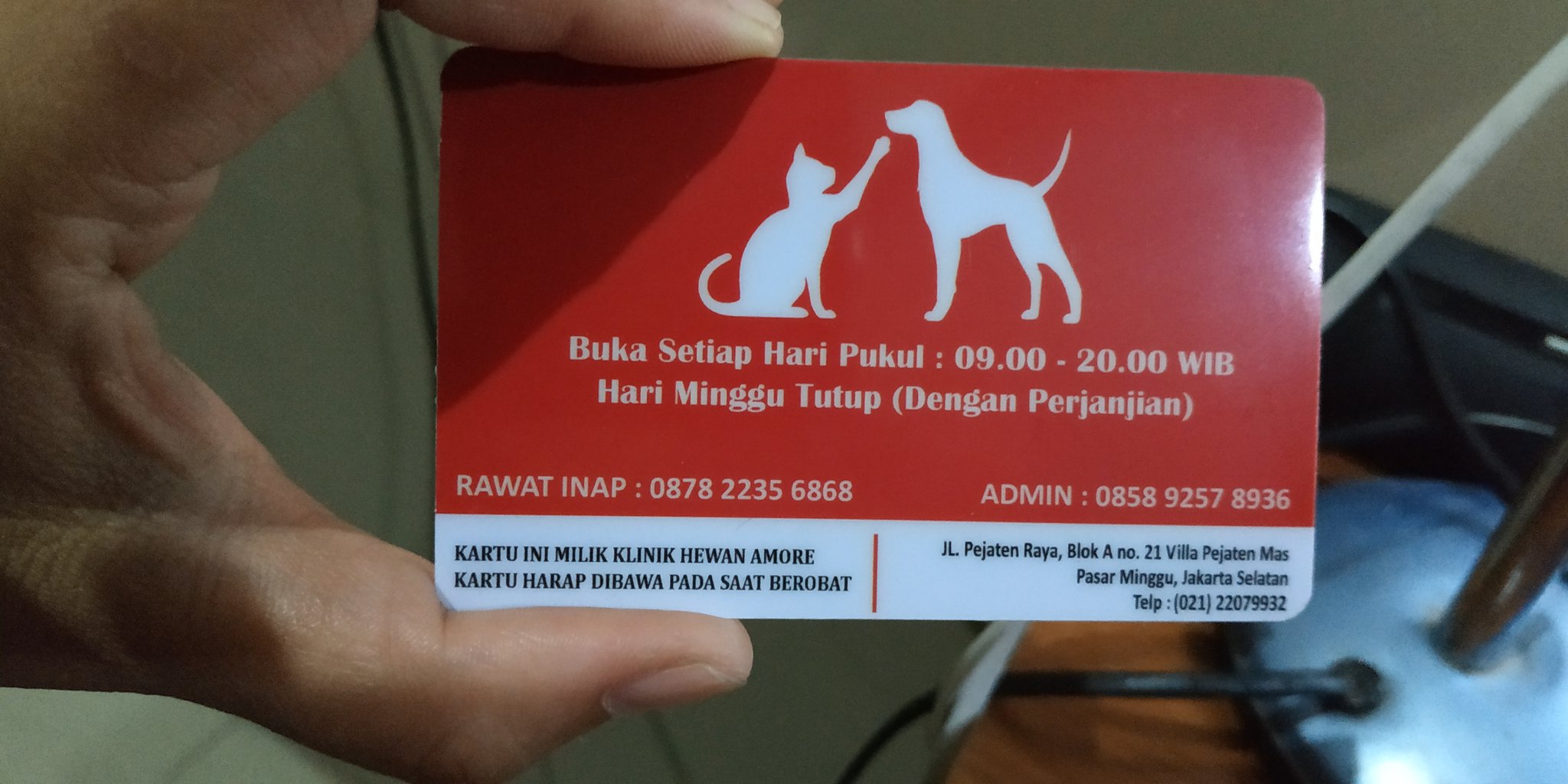 Amore animal clinic 2025