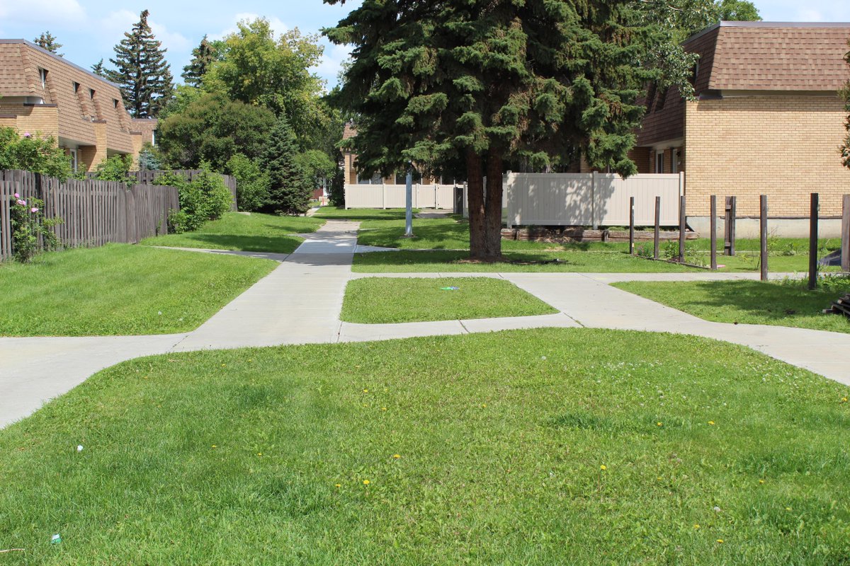 everlastvinyl's tweet photo. Check this out ! Before, During, and After, all in one shot. This is a big job, and it is running like a dream.

No fence project is too big or too small, let us know how we can help you!
#yegfences #yeghomes #woodfence #vinylfence #yegreno https://t.co/MUIqBmaAbo