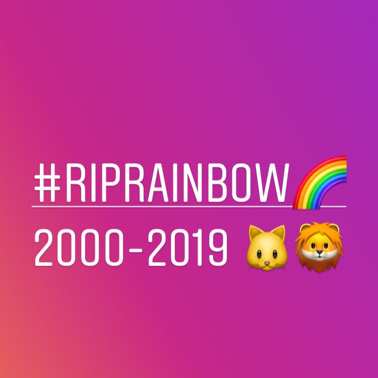 Socia11yDistant's tweet photo. Having a pet is amazing; letting go is awful.
He had a good run - 19 years of health - my little🦁 x #RIPrainbow https://t.co/2bsb4DD8Qk