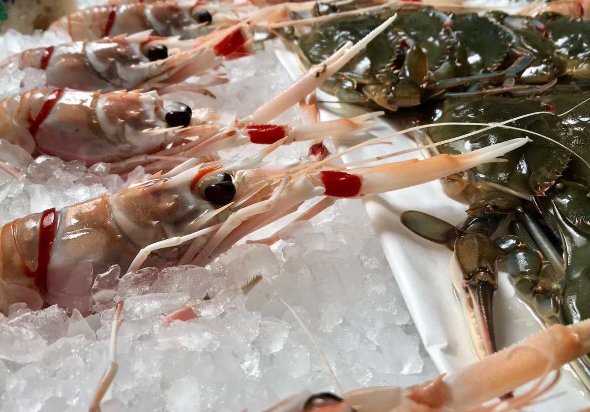 BlackSaltDC's tweet photo. New Zealand Langoustines and Maryland Softshells are in the Market Today!!! https://t.co/4Tw2XbKvzC