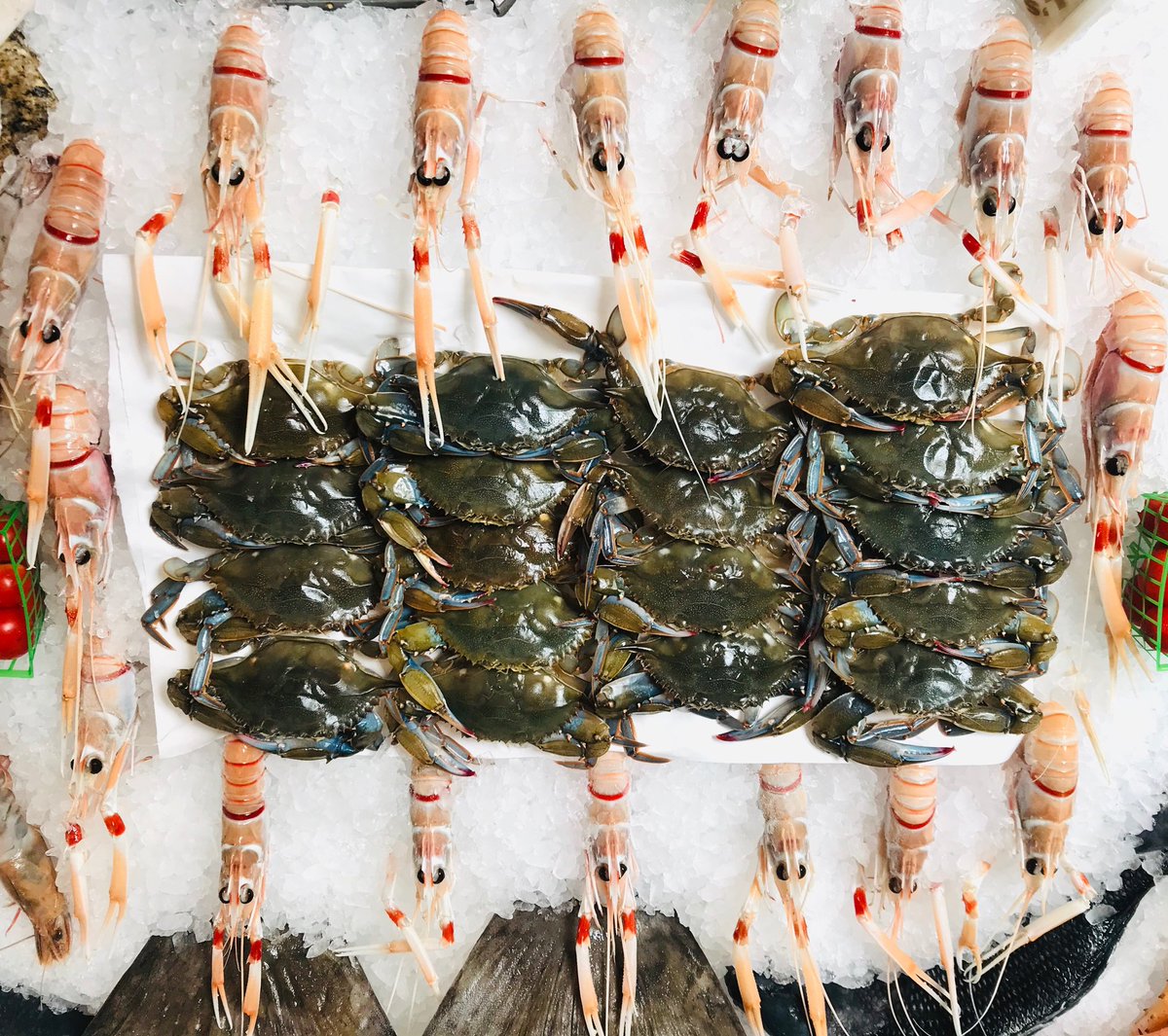 New Zealand Langoustines and Maryland Softshells are in the Market Today!!!