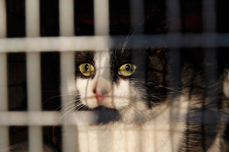 I'm not locked in here with you, you're locked in here with me....