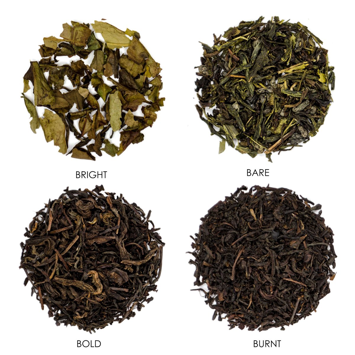 ShantiTea's tweet photo. We just launched a tea collection called Brewer's Blends, in partnership with @BOOCHFEST1!  We developed four teas specifically for kombucha brewing. Order online today or visit us tomorrow at #Boochfest Ottawa to try them out.

#brewersblends #kombucha #shantitea #organic #tea https://t.co/TgnORROoPv