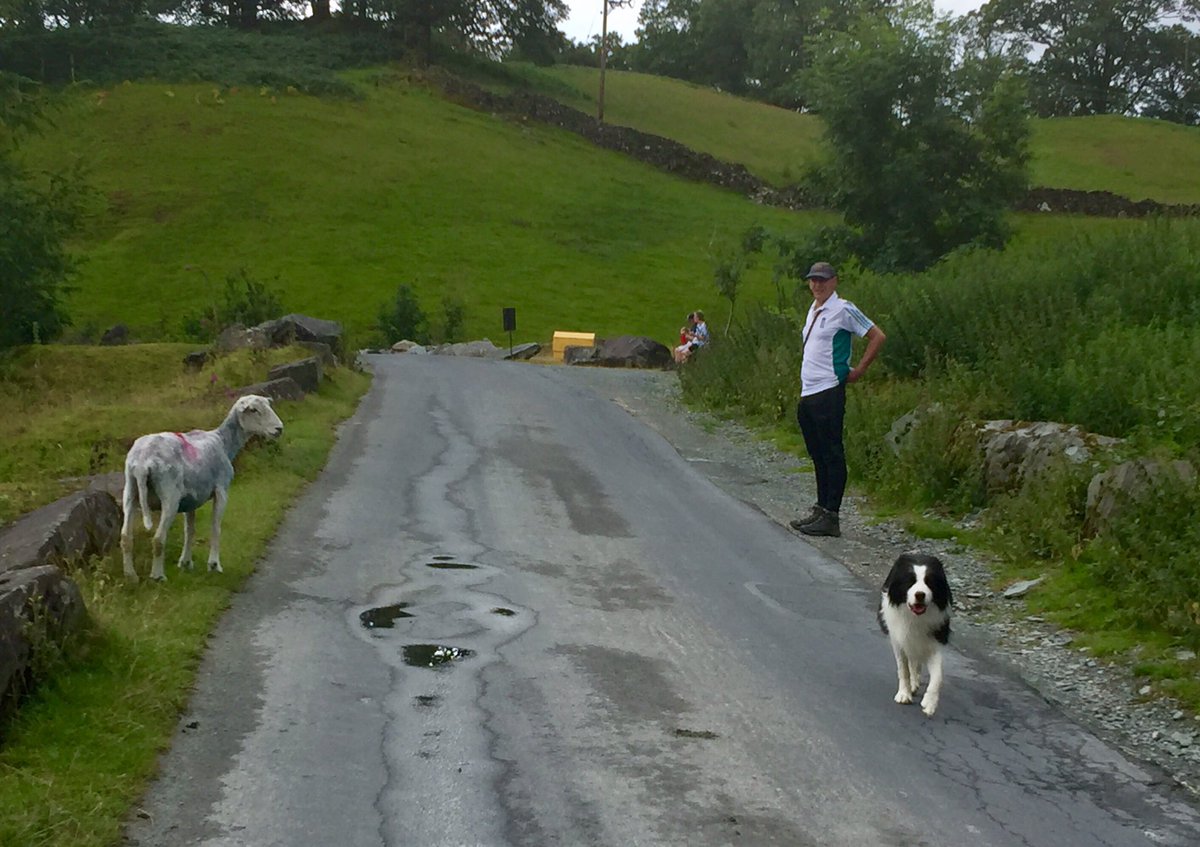 ArchieDog4's tweet photo. Mum mum HELP, tell it to stop looking at me! Itโs scaring me.... I canโt see you lalalalala #sheep #sheepdog #notasheepdog #elterwater #lakedistrict #dogwalk #bordercollie ๐๐ถ๐พ https://t.co/0vVtsYrOpg