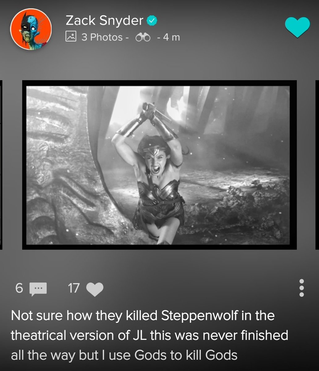 Diana cutting the head of steppenwolf on the  #ReleaseTheSnyderCut