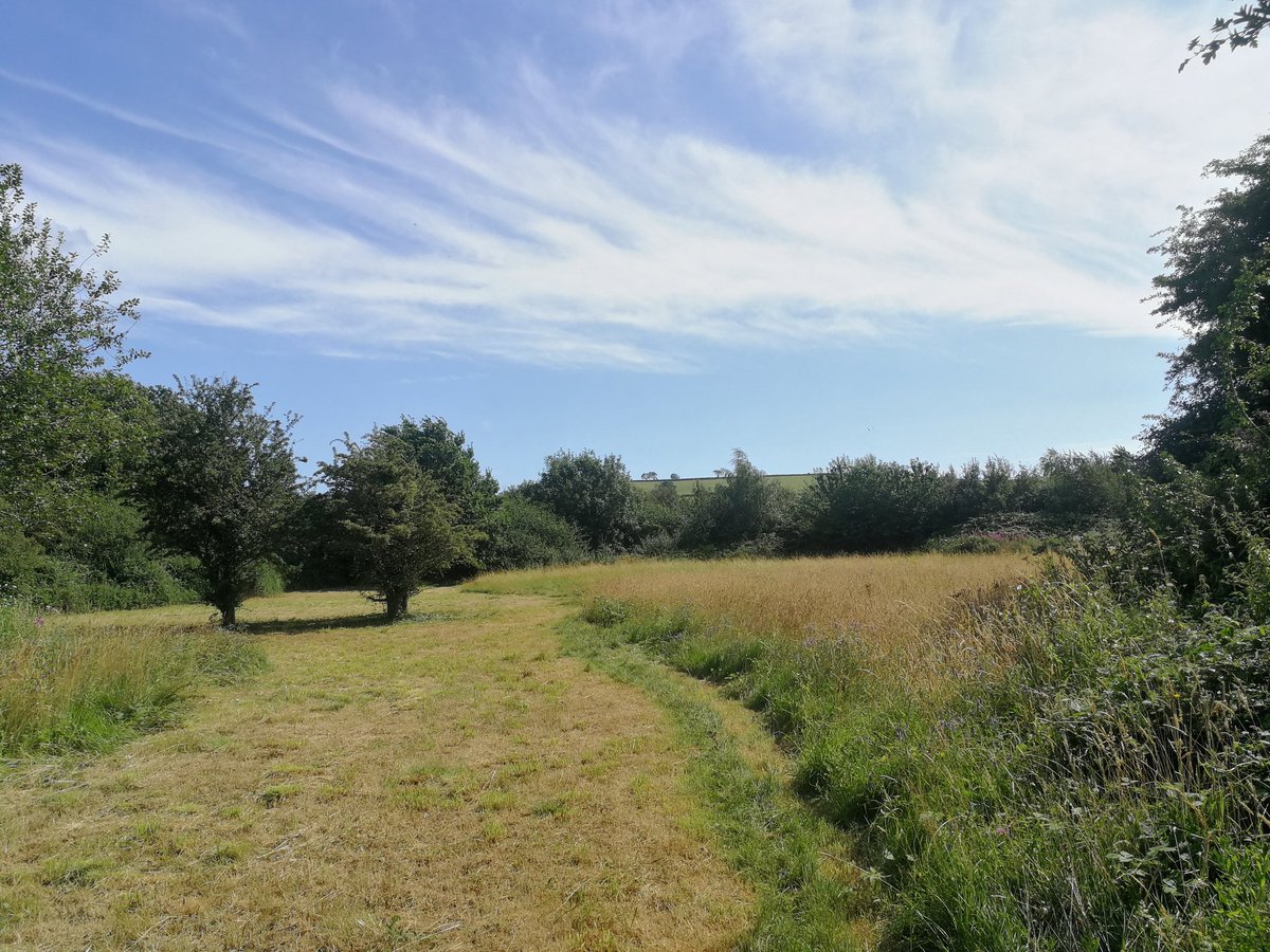 IanBarrettSW's tweet photo. Incredible views from #NorthernSlopes and an abundance of insects at #HawkfieldMeadows - find out what @avonwt is doing to protect these amazing #Bristol habitats and get involved at https://t.co/GXbRw8gfGv #WilderFuture https://t.co/pTmV42g4dP