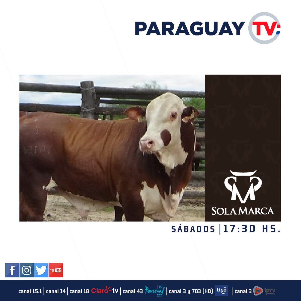 ParaguayTVHD's tweet photo. Todo sobre la feria de ganado en #SolaMarca; sábados a las 17:30 horas. por #ParaguayTV https://t.co/B99tYupRzN