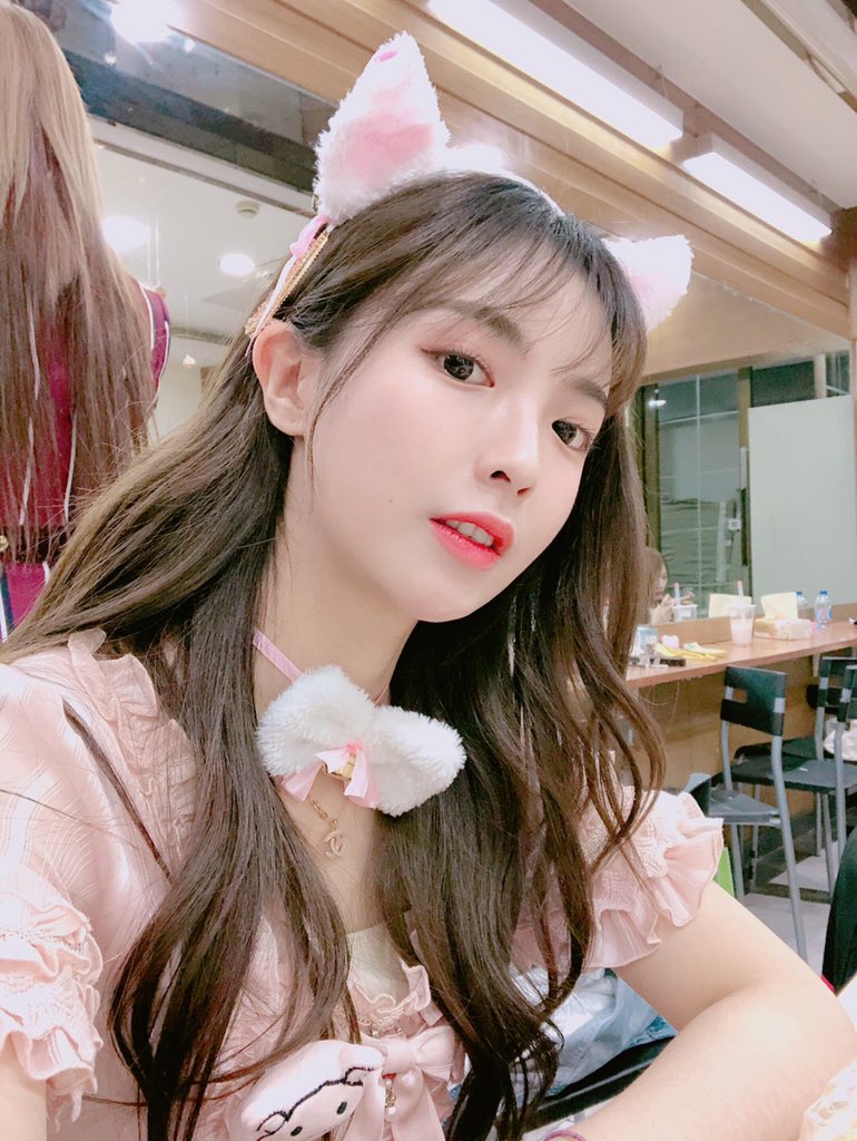 eliwa925's tweet photo. 🐱 https://t.co/BodzEccUuB