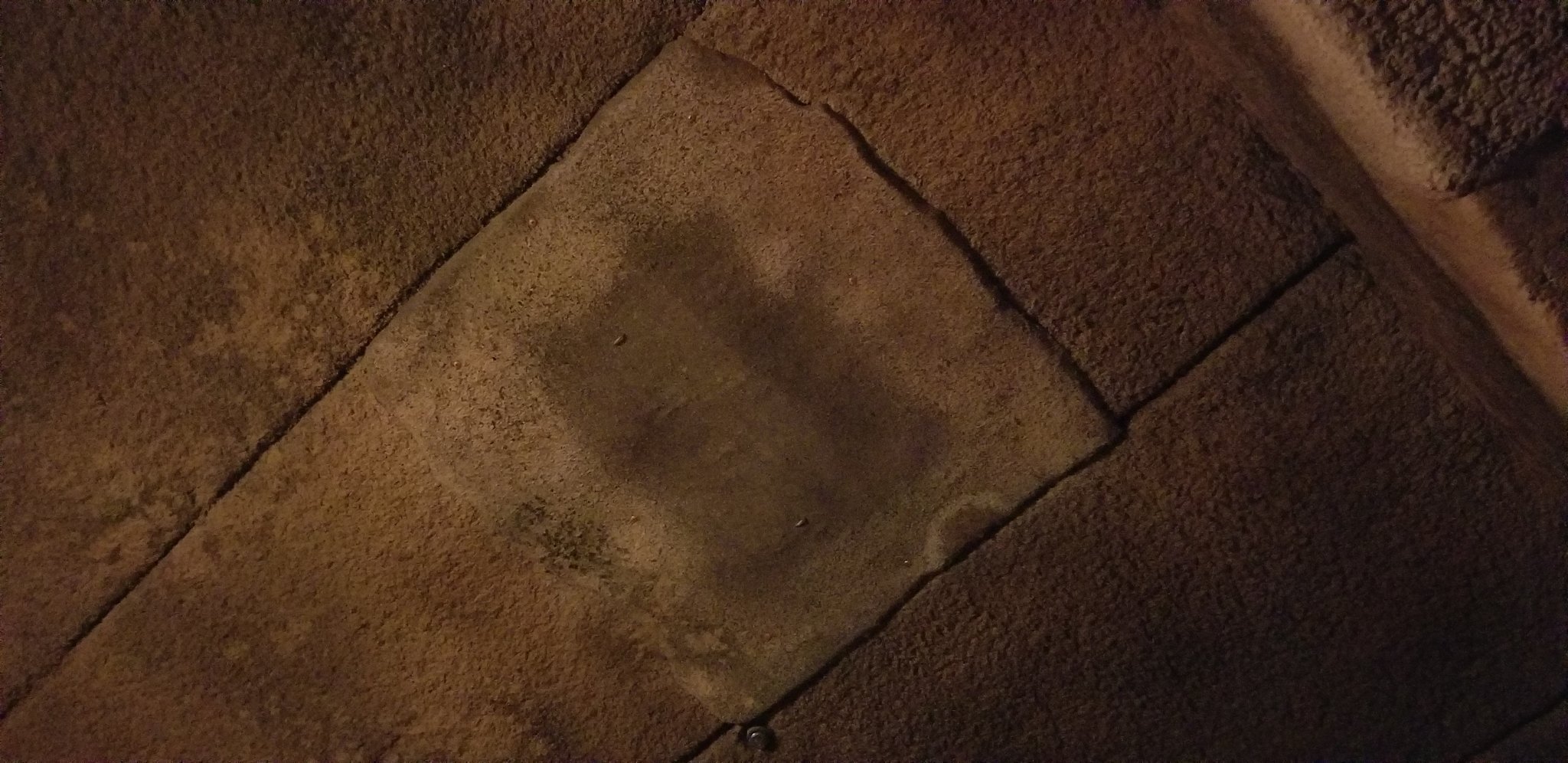 でんぱやくざ ディズニーシーのインディ ジョーンズのアトラクションの屋内対策 岩に見える天井外せる部分を確認 直下で電波強いから各キャリアこういう場所にアンテナを設置してるんだろうな もう 何度もディズニーランド ディズニーシーに行って屋内