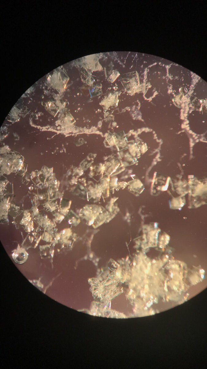 Jsperling91's tweet image. One of the things ive learned from the myspace years is that photography is all about lighting and angles. Crystal pictures are the same way with this beautiful holmium compound with regular lamp light and polarized light #fblockrocks #crystals