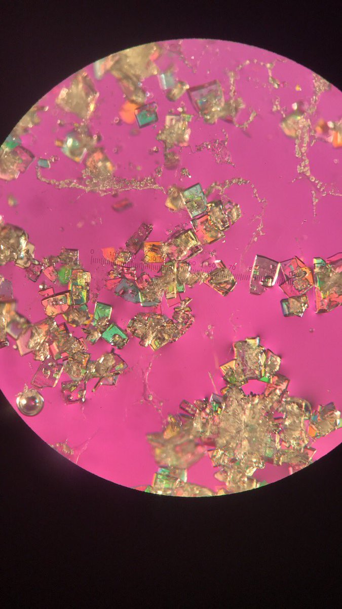 Jsperling91's tweet image. One of the things ive learned from the myspace years is that photography is all about lighting and angles. Crystal pictures are the same way with this beautiful holmium compound with regular lamp light and polarized light #fblockrocks #crystals