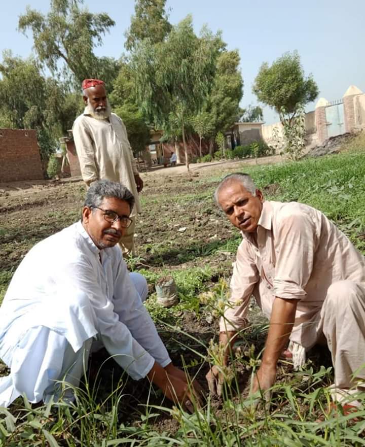 kingnkt1's tweet photo. Monitoring team Shikarpur in collaboration with @ShikarpurY did this last year. We planted 250+ Neem, Taari and other saplings. @sardarshah1 @SkBhutto https://t.co/v9kH9jg8ou