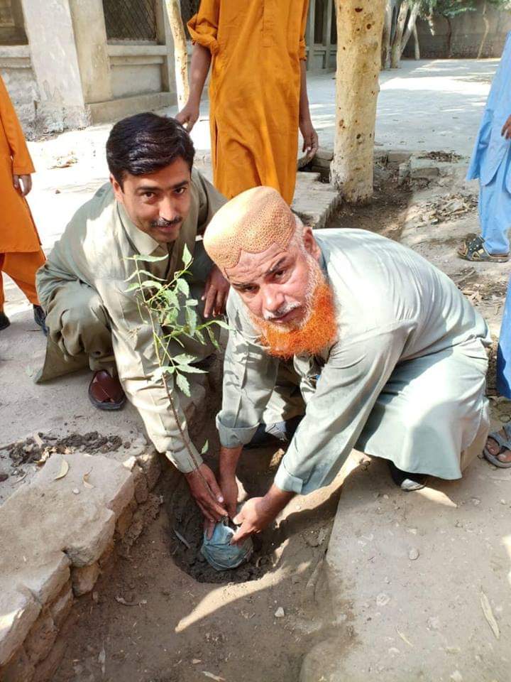 kingnkt1's tweet photo. Monitoring team Shikarpur in collaboration with @ShikarpurY did this last year. We planted 250+ Neem, Taari and other saplings. @sardarshah1 @SkBhutto https://t.co/v9kH9jg8ou