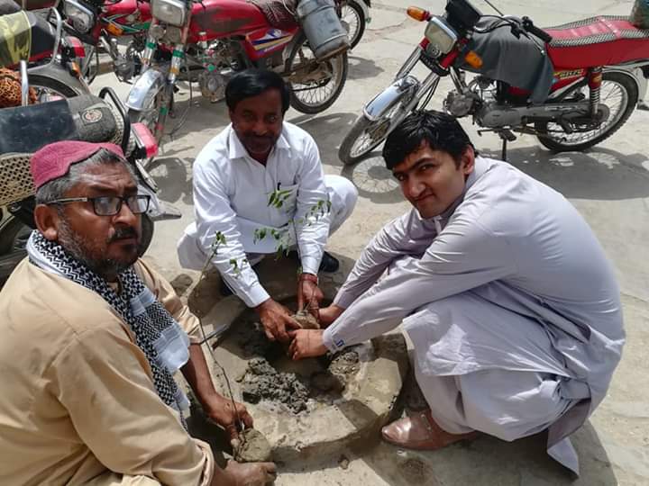kingnkt1's tweet photo. Monitoring team Shikarpur in collaboration with @ShikarpurY did this last year. We planted 250+ Neem, Taari and other saplings. @sardarshah1 @SkBhutto https://t.co/v9kH9jg8ou
