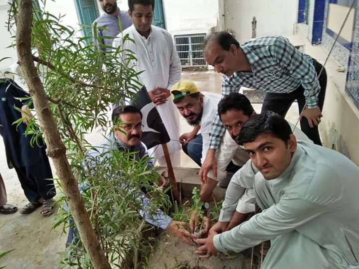 kingnkt1's tweet photo. Monitoring team Shikarpur in collaboration with @ShikarpurY did this last year. We planted 250+ Neem, Taari and other saplings. @sardarshah1 @SkBhutto https://t.co/v9kH9jg8ou