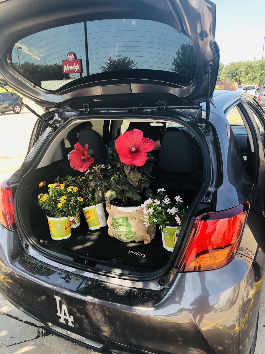 Erika1Romero's tweet photo. 🙋🏻♀️Who says my @ToyotaLatino @Toyota #Yaris can’t handle these big boyzzz🧑🏻🧑🏽🧑🏼and cargo filled of flowers🌷🌸🌺, top of the line car and just☝🏼of my retirement get-around vehicles💁🏻♀️ #lifeattoyota #lifeatlexus #nephews #summerintexas #losangeles https://t.co/vGThVzziOJ