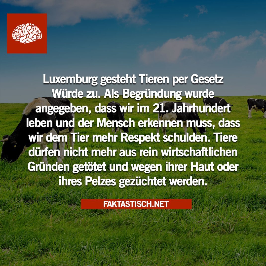 faktastisch's tweet photo. Faktastisch YouTube: https://t.co/eTITqkm8Id
Faktastisch Tierwelt: https://t.co/5ayzYr0t3y https://t.co/Z1uU4HMZIE