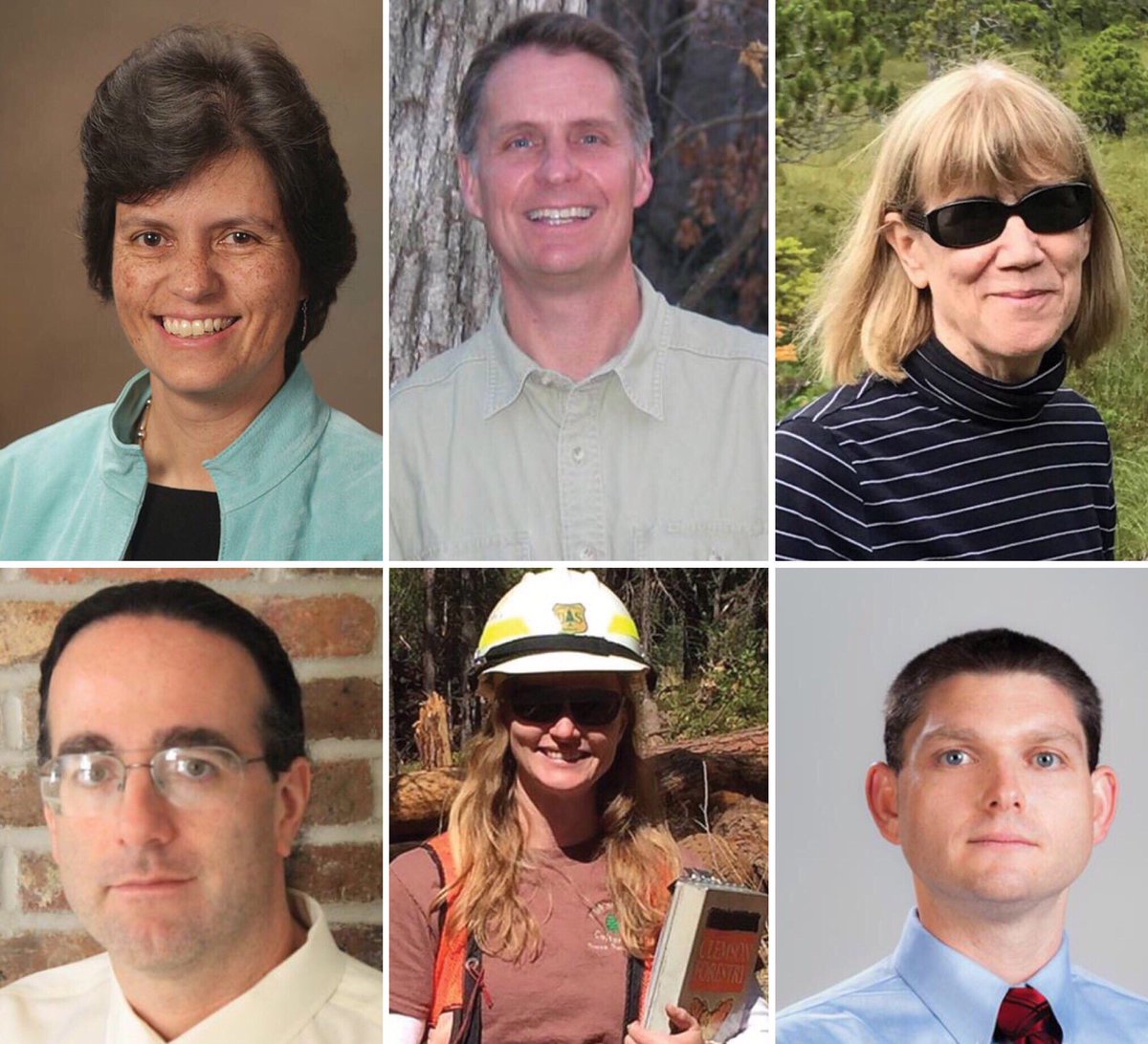 foresters's tweet photo. What are the promises & challenges facing 21st century silviculturists? Six silviculturists from across the US share their unique opinions & perspectives: https://t.co/1dwPreGnoR
#ScienceSaturday #Silviculture #JournalofForestry #SAFMembers https://t.co/ft7IbSxtNl