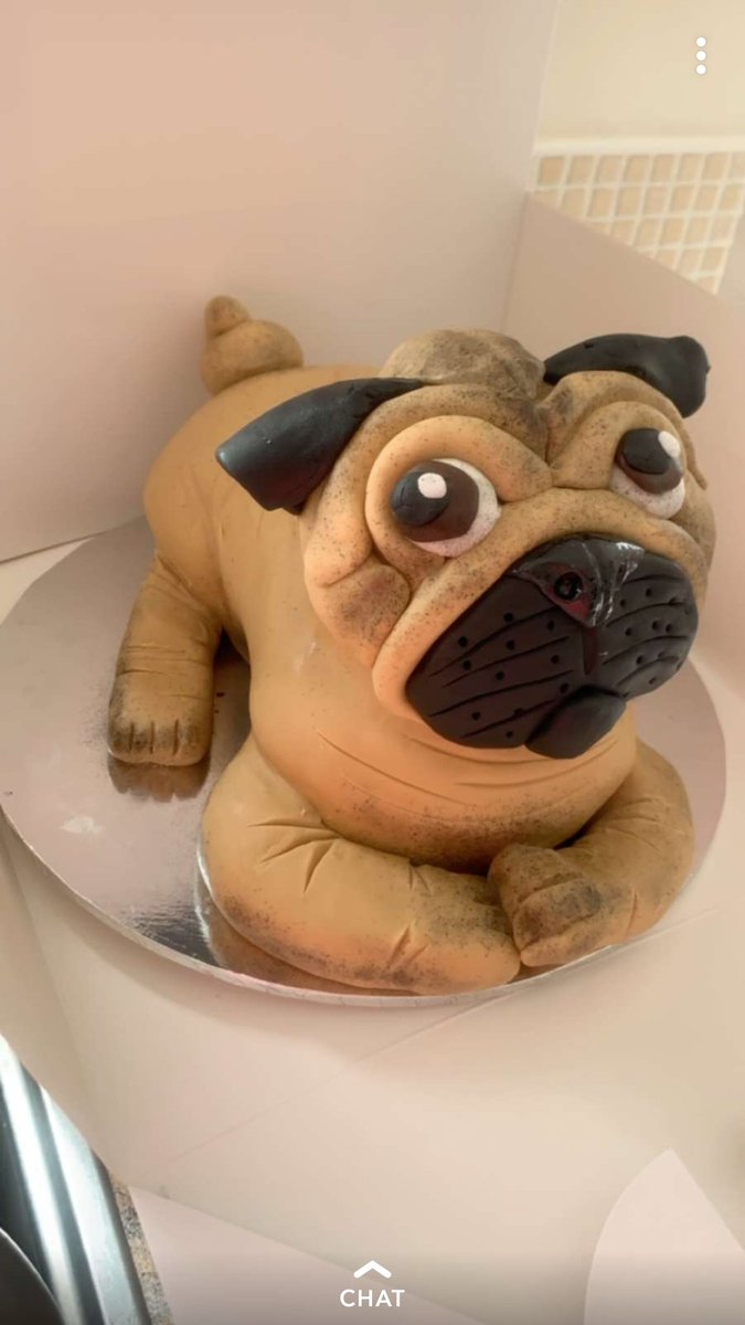 KevBlank9's tweet photo. Happy Birthday to the Brother In-Law Kev, hope you like the cake which looks like Hugo. Another cracking cake from The Wife 😍👍
#HappyBirthdayKev #Hugo #PugCake #BeBeCupcakes https://t.co/mbQ2hUDsEJ
