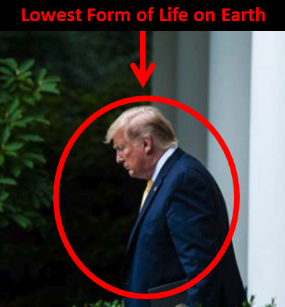 SDBurgher's tweet photo. @TheDemCoalition @gtconway3d #MaggotInChief https://t.co/snfi3H0blZ