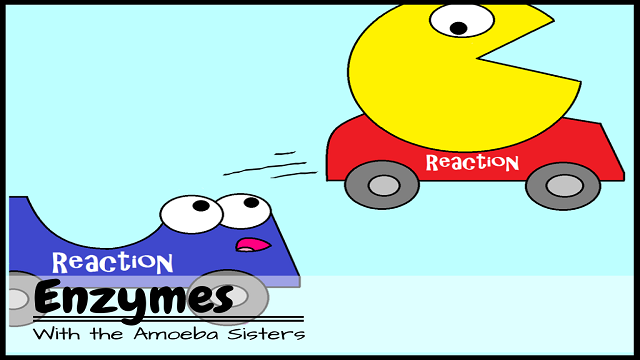 AmoebaSisters's tweet photo. Day 20 of #WeCreateEdu 
Topic: "First Video"
We posted our 1st video in July 2013! We used MS Paint to illustrate, a cell phone to record audio, and our beginner Windows Moviemaker skills to put it together. We cherish milestones! 😄 https://t.co/A60ZVCN6v1 https://t.co/h2OBEkyCDn