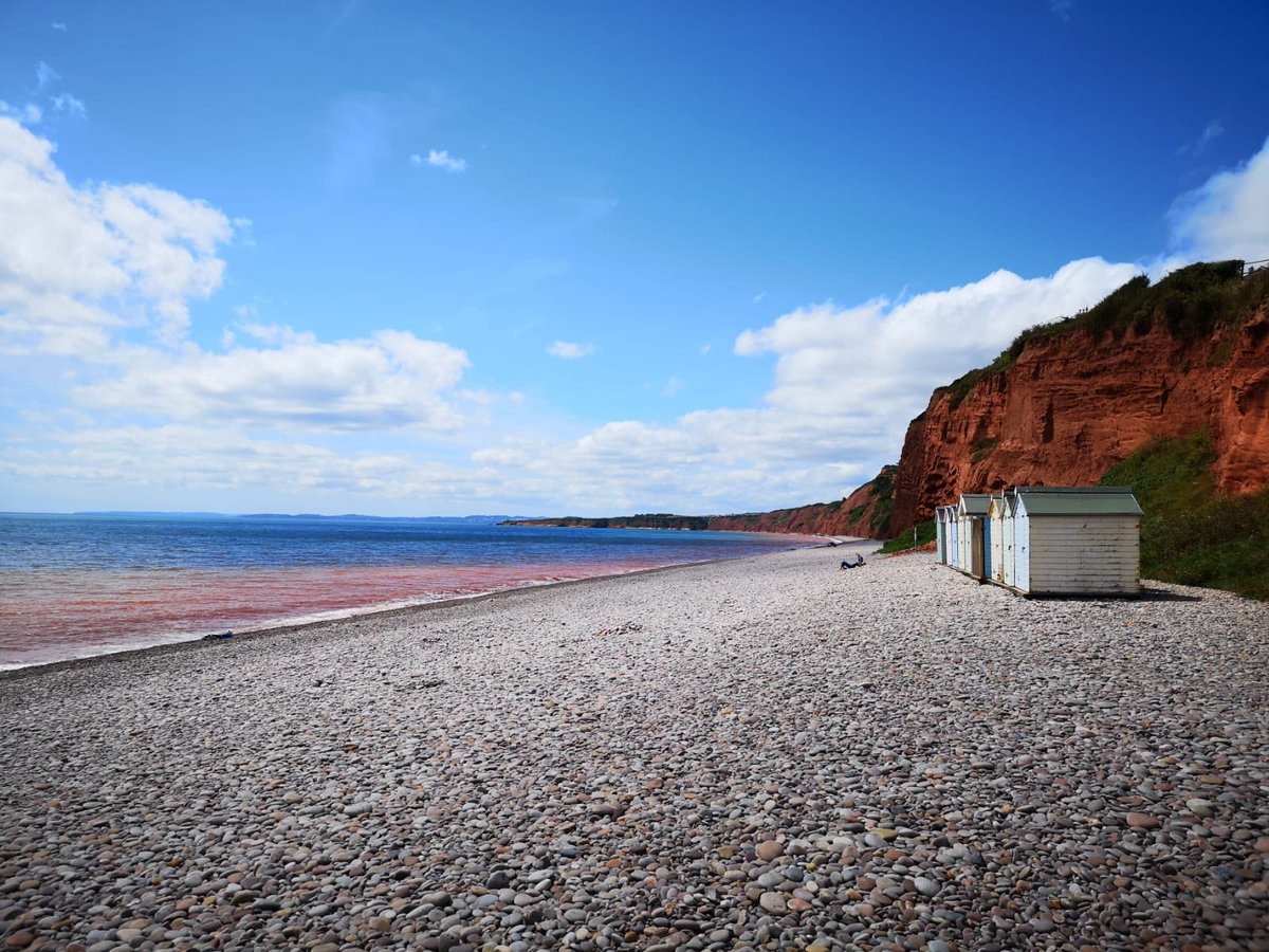 Peter Edge (@_peteredge) on Twitter photo Down in Devon for the final show of Così Fan Tutte, where I’m performing Don Alfonso. This is also the closing perfmance of Budleigh Festival at <a href="/BudleighStP/">St Peter's Budleigh</a> and we’ve got a packed house! Check out the view of the beach too 😍🎶 🏖
Beach 📸 <a href="/AmyLyddon/">Amy Lyddon</a> Down in Devon for the final show of Così Fan Tutte, where I’m performing Don Alfonso. This is also the closing perfmance of Budleigh Festival at <a href="/BudleighStP/">St Peter's Budleigh</a> and we’ve got a packed house! Check out the view of the beach too 😍🎶 🏖
Beach 📸 <a href="/AmyLyddon/">Amy Lyddon</a>