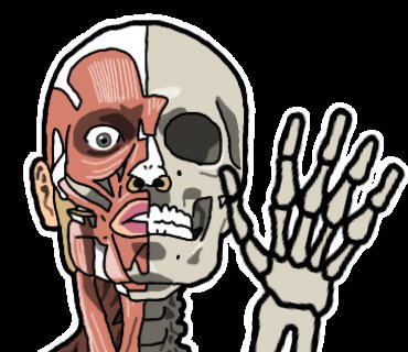 人体模型のtwitterイラスト検索結果 古い順 人体模型のtwitterイラスト検索結果 古い順