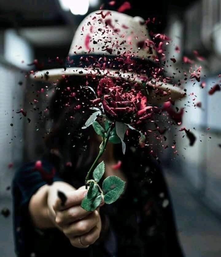 DanaRifi's tweet photo. 🎋💚

ياشيئا من نعيم الدنيا
وكأنك بيني وبين كل شىء 
وكأن الأشياء كلها بك تكتمل .🎋💚 https://t.co/ip2VaRCbNW