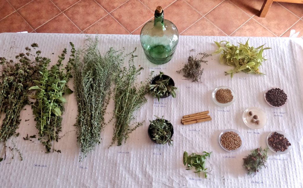arnau_torrente's tweet photo. Avui a casa fem més que ratafia; preservem la memòria 🥃🌿 #Ratafia https://t.co/e4rMkrTRDu