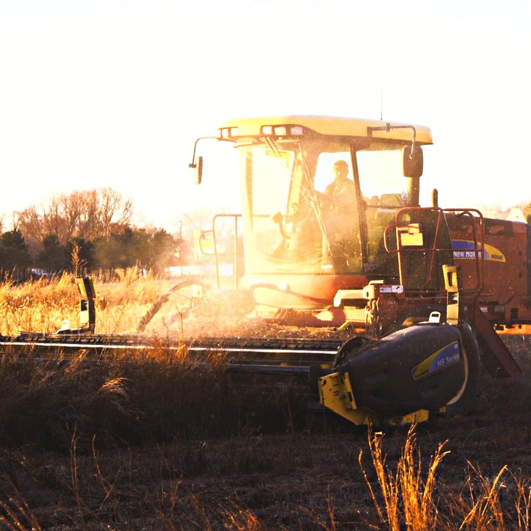 digitalSacrame1's tweet photo. Agriculture is one of the largest enterprises in California, and much of it is around the Sacramento area! This provides so many jobs and opportunities!
#agriculture #Sacramento #digitalSacramento #bysacforsac #jobboards #findyourfuture https://t.co/jdZXAGvMJH