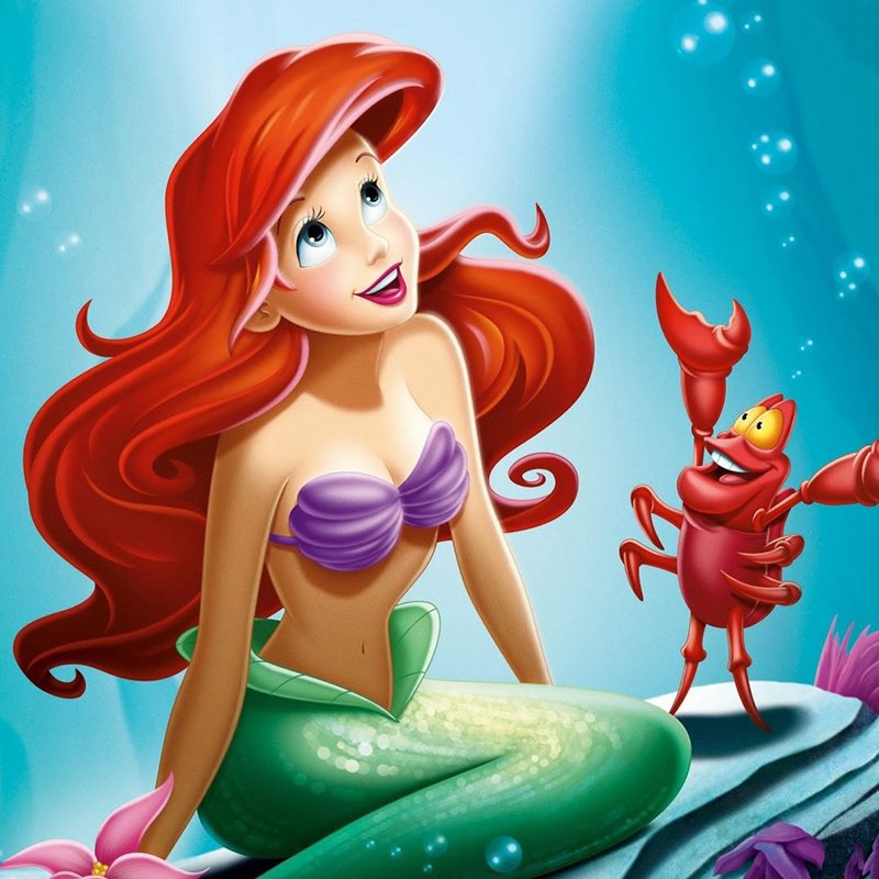 KinglyFirefly's tweet photo. The problem isn’t about race, it’s about the fact that what’s-her-name looks NOTHING like the Ariel we know and love.  #NotMyAriel https://t.co/kQptWlCgt5