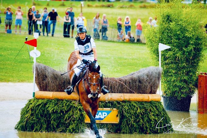 montando's tweet photo. La amazona alemana Ingrid Klimke ganó, por tercera vez, la Prueba Combinada en Aachen montando a Super Baby.
Ingrid Klimke won the CHIO Aachen 2019 #SAPCup together with #SAPSuperBobby. Ingrid is now the first Eventing rider to win CHIO Aachen three … https://t.co/6j22P9pHIA https://t.co/TvDBksMZsX