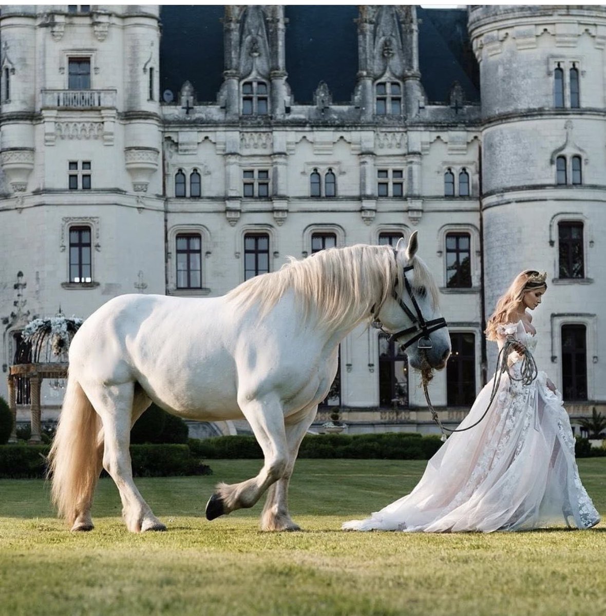 dreamycece's tweet photo. Wedding dreams ✨ the castle in the background is awe inspiring, isn’t it? ✨ https://t.co/4f0lS7HNq5