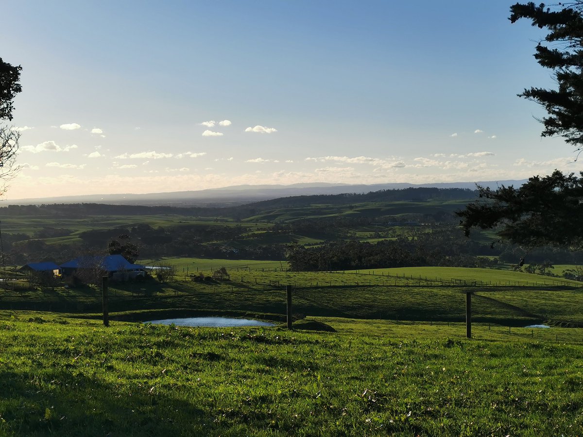 Shane Byrne (@shanebyrne2001) on Twitter photo Some lovely views from <a href="/brianjcorr1/">Brian Corr</a> farm in Gippsland where I had the opportunity to spend a couple of hours yesterday been shown around. #Australia #hills #sunsets Some lovely views from <a href="/brianjcorr1/">Brian Corr</a> farm in Gippsland where I had the opportunity to spend a couple of hours yesterday been shown around. #Australia #hills #sunsets