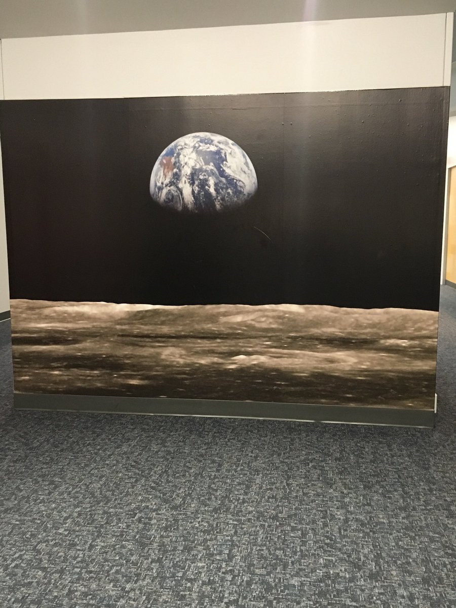 Kathryn Murphy tweet media