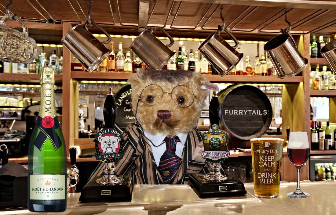 Toddy Furrington tweet media