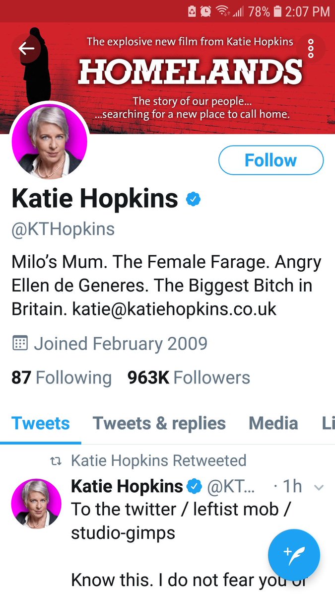 This bigoted, hateful, and ugly woman #KTHopkins looks exactly like her profile description. She thinks it's an honor. No!! #Racist #LowVibration #Monster