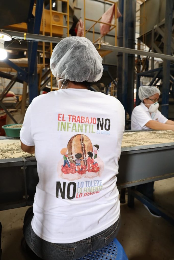 JuanOrlandoH's tweet photo. COCAFELOL podrá ser un intermediario para prestarle a los pequeños y medianos productores del grano de oro en Ocotepeque. Es admirable las labores adicionales que hacen en la producción de café. https://t.co/LqXBQnrmCF