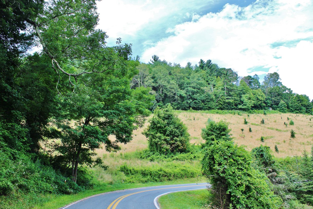 AlexanderNRHS's tweet photo. Looking up at the former mainline of the Linville River Ry. (part of the ET&amp;WNC/original "Tweetsie") near Montezuma, NC. That section of railroad is now a private dead-end road. 7/18/19. #ETWNC #Tweetsie #AveryCountyNC #SENGSM #History #Railroad #NarrowGauge #NC https://t.co/yayI7zaJsw