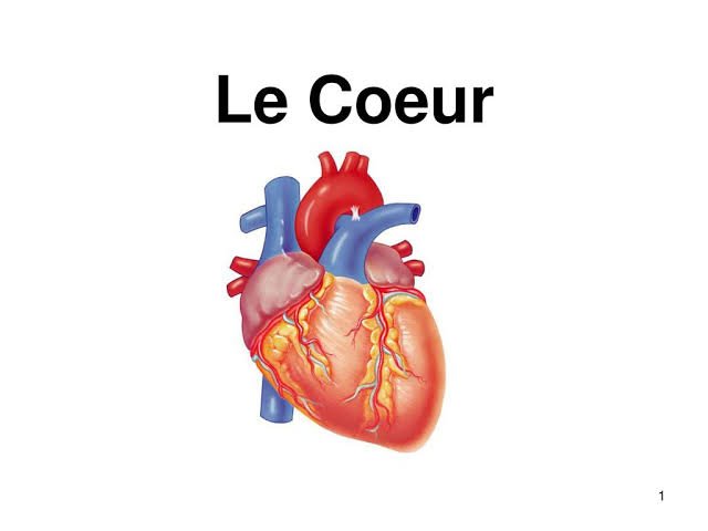 Saint_meezy's tweet image. Sco pa tu manaa