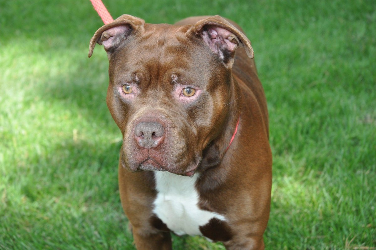 Unbreakabull of MN tweet media