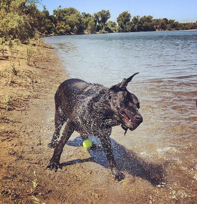 marissatreece's tweet photo. Shake it off. Shake, shake it off. https://t.co/DvulrVI7Tm