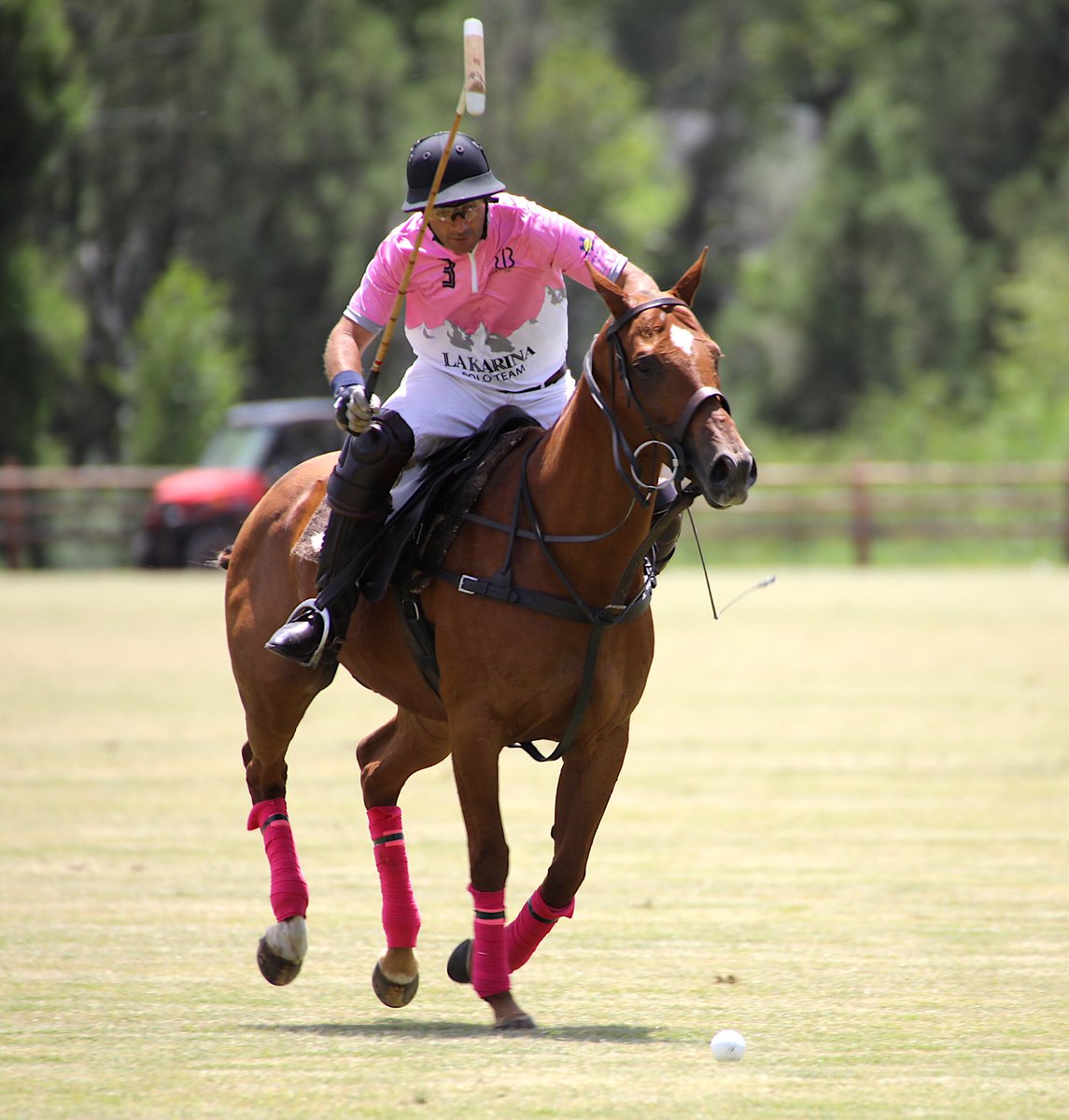 US Polo Association tweet media