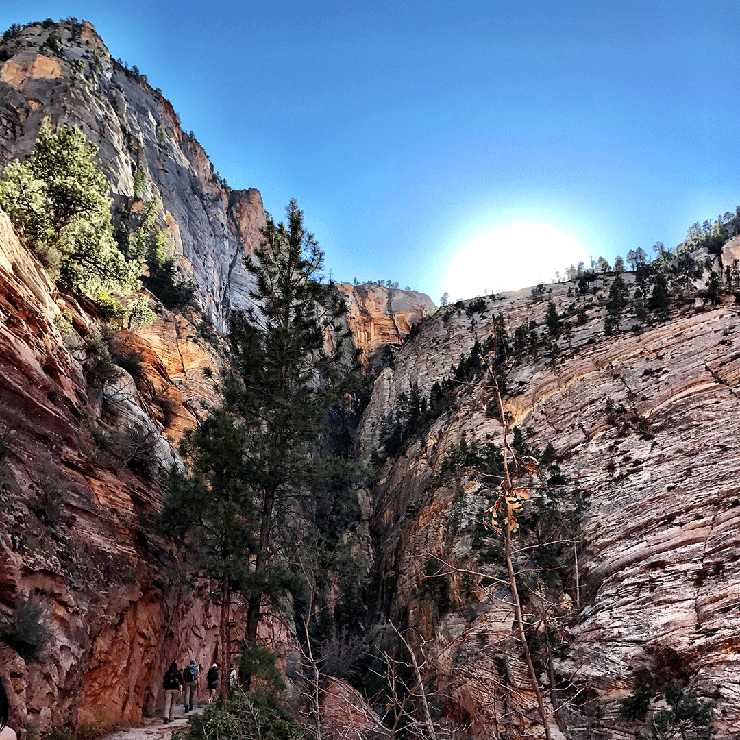 Zion_NP_Utah's tweet photo. "It does not matter how slowly you go, as long as you do not stop." - Confucius. 

#zion #zionnps #motivation #nature #nationalparks #americasparks #zionnationalpark #hiking #explore https://t.co/ChSk4nC4H3