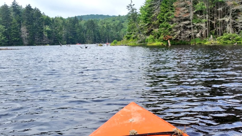 MauraKellyMedia's tweet photo. 2nd day on the lake in #Bernie country - #Vermount #kayaking https://t.co/22QMLH1kv7