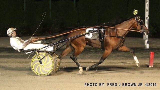Erquy22's tweet image. #Gimpanzee, l’autre atout de @Courant_AB pour #Hambletonian19 12/12 avec sa dernière victoire en 1.10.1 à Tioga Downs ce vendredi sur un anneau de 800m et une piste détrempée @MarcusMMelander et #BrianSears #Trot