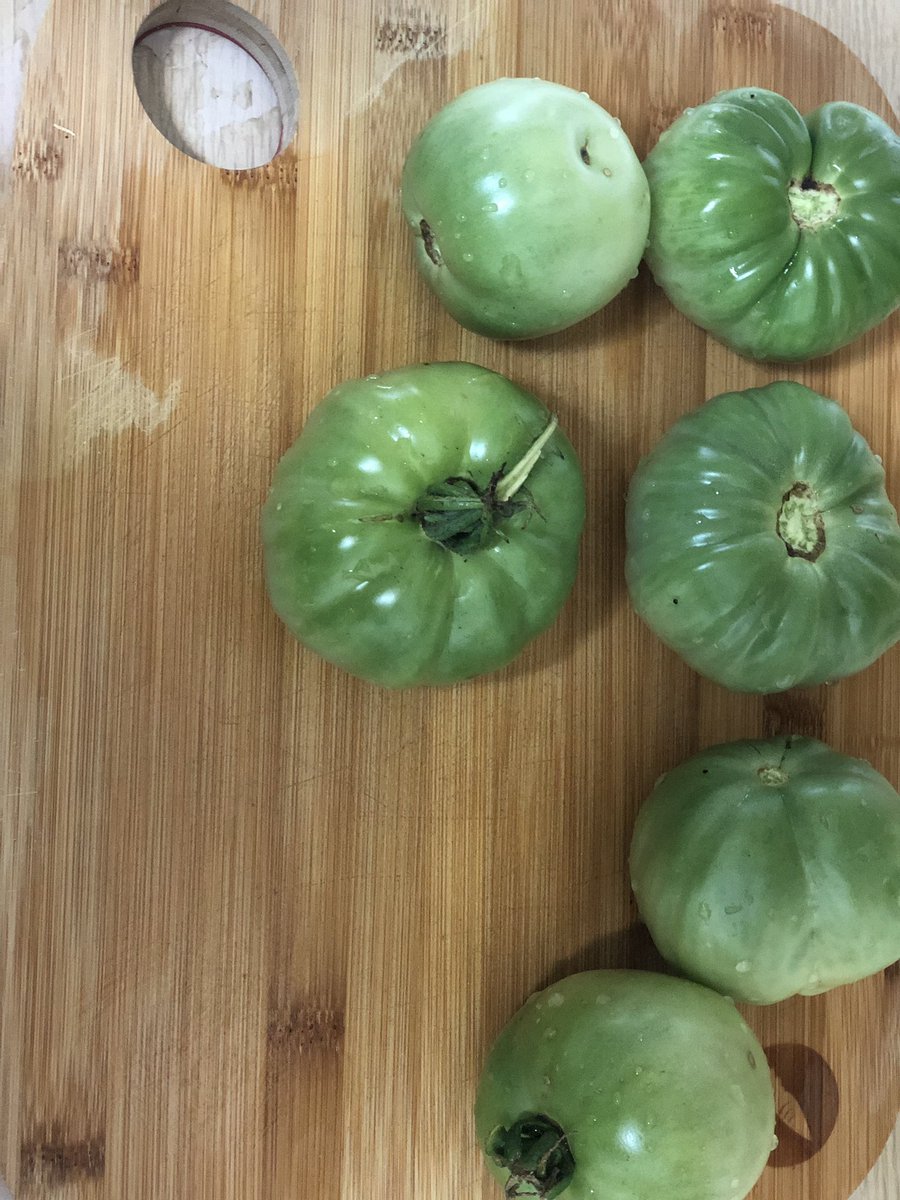 CBellTeach's tweet photo. This morning I had a great opportunity to harvest some green tomatoes, bell peppers,and  jalapeño peppers. I came home and fried my fresh green tomatoes from the beautiful garden of graperoots. Graperoots is an urban farming project here in the city of Atlanta. https://t.co/DYZLJ6k6Oq
