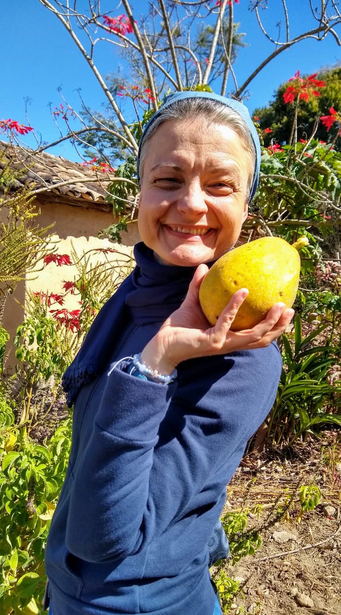 apostolinka's tweet photo. #IrmasApostolinas #ApostolinkiwBrazylii
Papaja - mój ulubiony owoc tutaj, mango na drugim miejscu 😎😎😎 https://t.co/rTD1HcFDZx