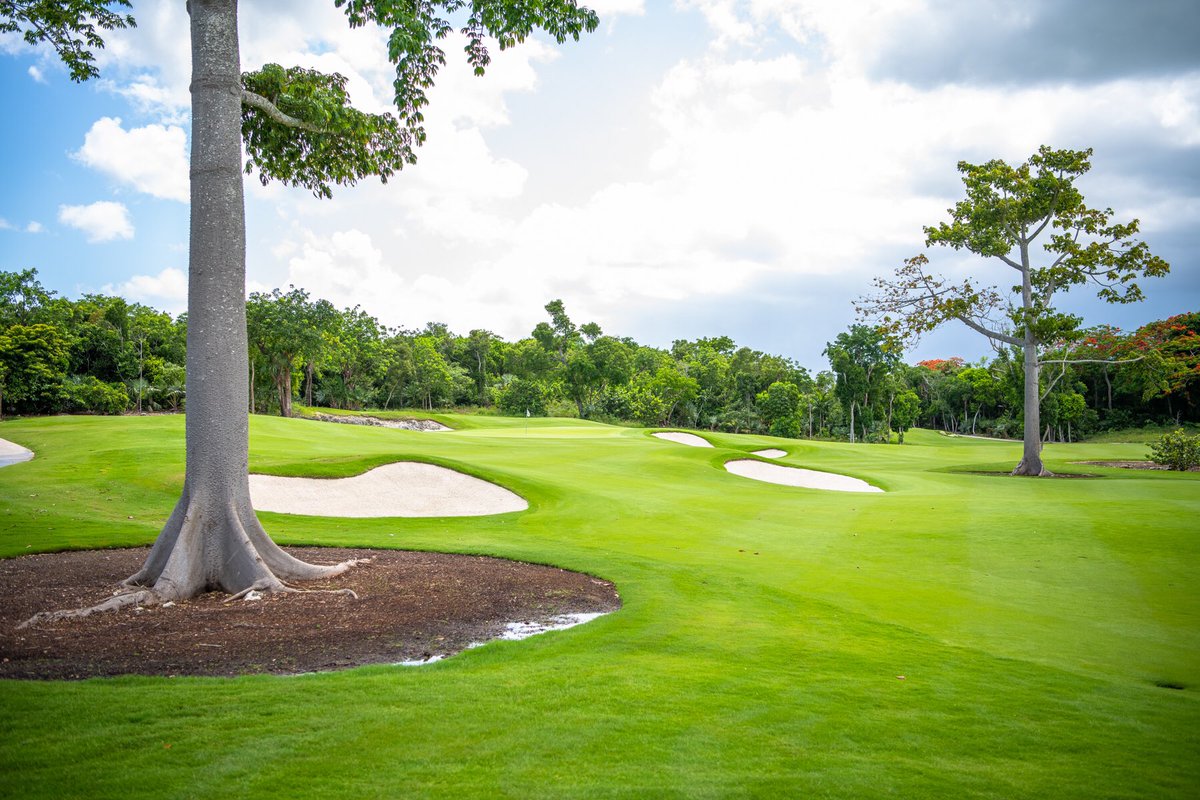 TheShowdownGolf's tweet photo. .@royalbluegc at @BahaMarResorts provided an unmatched scenery for some beautiful golf! https://t.co/cf0NciZmgJ