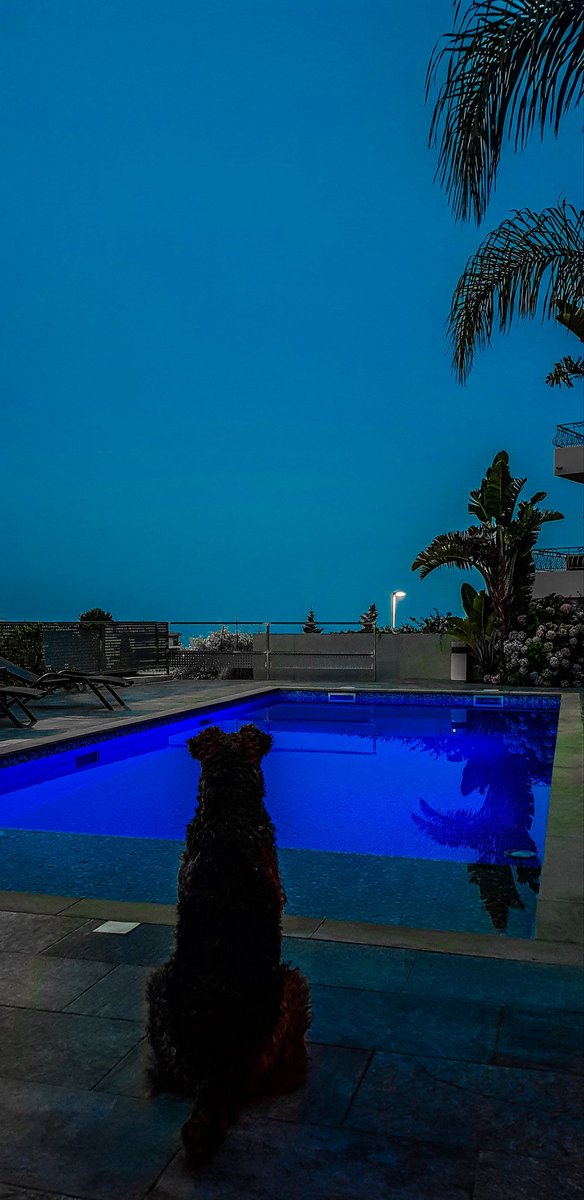 AiredaleEmile's tweet photo. Night call... Summer 19' https://t.co/62afzer273